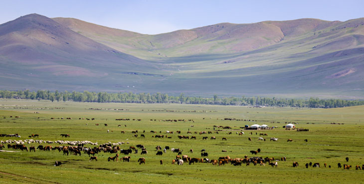 mongolia country images